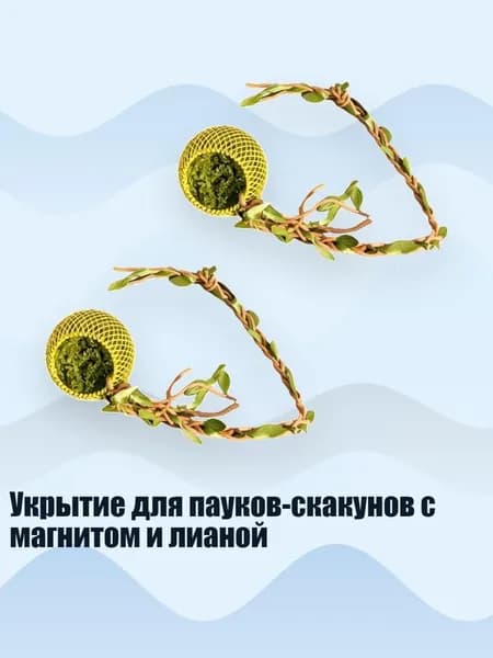 Укрытие для пауков-скакунов с магнитом и лианой, - B3