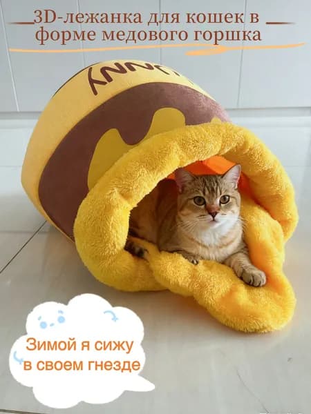 Уютное кошачье гнездо: банка с медом