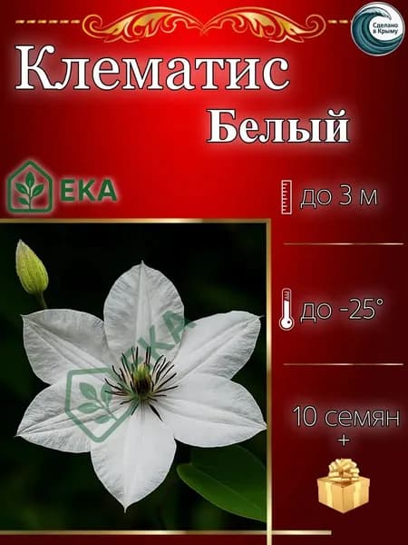 Семена ,10шт