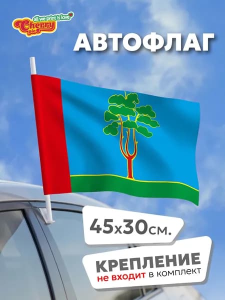 Флаг 45x30 Черноголовка (Московская область)