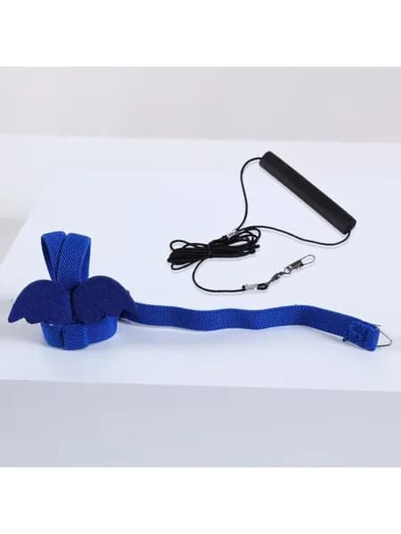 Артефакт для хождения по птице