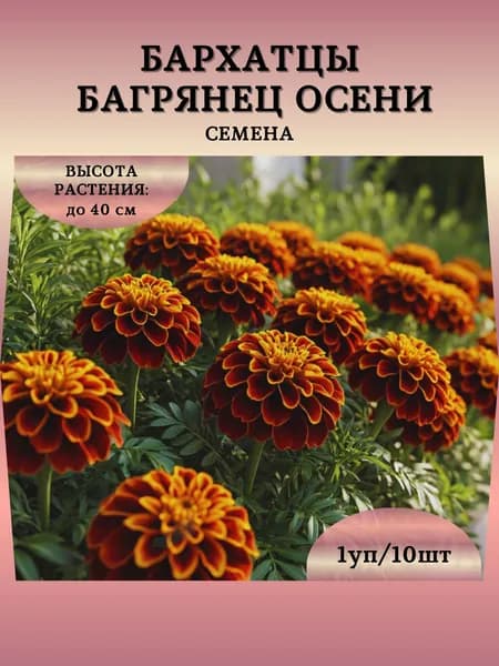 Бархатцы "Багрянец Осени" семена, 1 пачка
