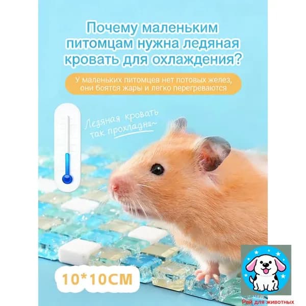 Коврик охлаждающий для хомяков и грызунов, 1 шт - кристаллические плитки-камни сна в жару, освежающий аксессуар в клетку крыс и морских свинок.