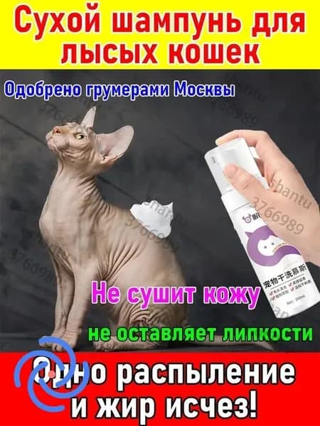 Сухой шампунь-мусс для сфинксов с кокосовым маслом и алоэ вера