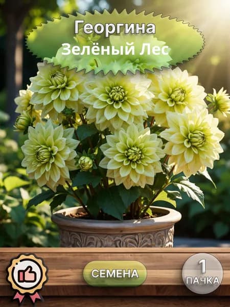 Георгина Зеленый Лес, семена 10 шт.