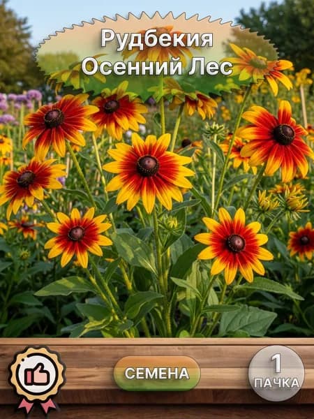 Рудбекия Осенний Лес, семена 10 шт.
