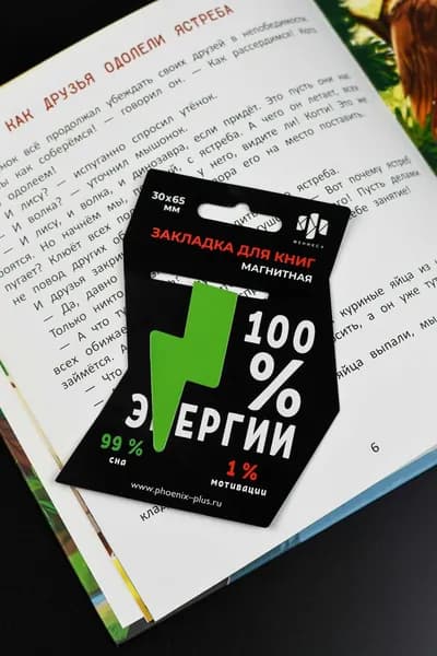 Магнитная закладка для книг 1шт. зеленая молния
