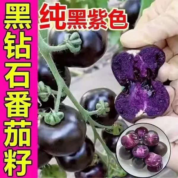 Семена томатов Черри, фиолетовые и красные, семена помидоров для овощей