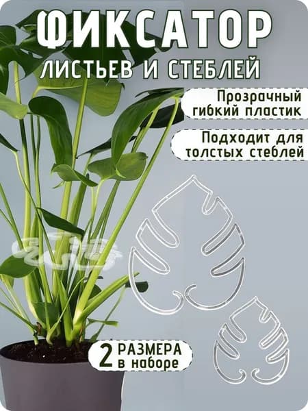 Опора для сбора стеблей растений прозрачная 2 штуки в форме листика