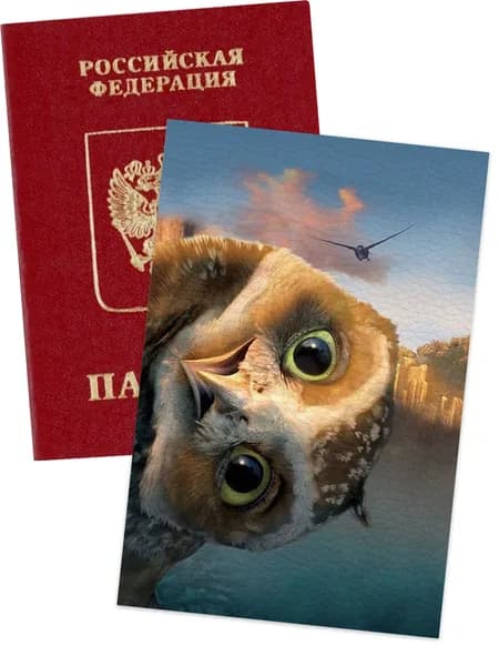 Чехол на паспорт сова