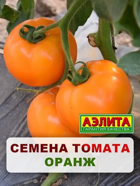 Семена томат "Оранж", 20 шт, для дома, дачи и огорода, томат из семян, для теплицы и открытого грунта