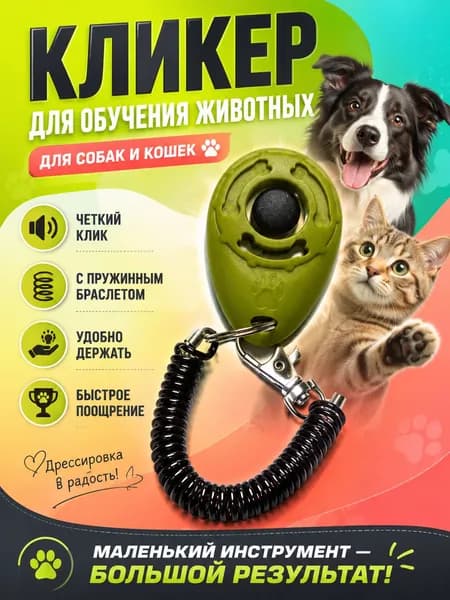 Кликер для дрессировки собак и кошек с браслетом и карабином, зеленый