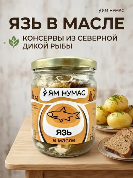 Язь в масле 450 грамм ЯМ НУМАС