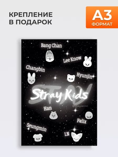 Постер Группа Stray Kids BW, А3