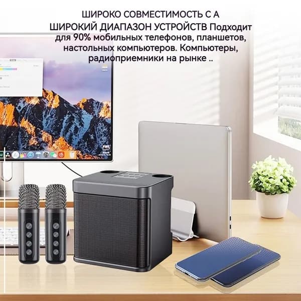 Портативная колонка для караоке с двумя микрофонами, Bluetooth и функцией удаления вокала