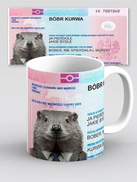 Кружка с приколом мем Бобр Bobr kurwa