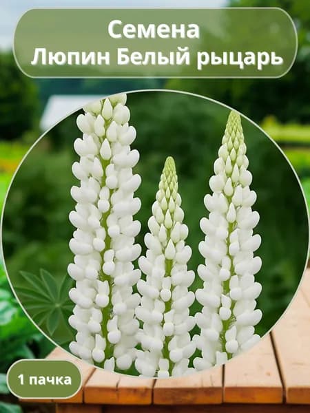 Люпин Белый рыцарь, семена 10 шт
