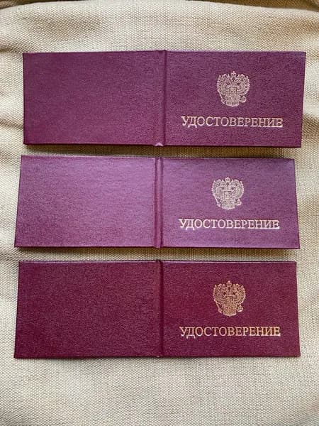 Набор удостоверений с гербом РФ 3 шт темная вишня. Комплект бланков обложка бумвинил, тиснение золотом, вкладыш триколор