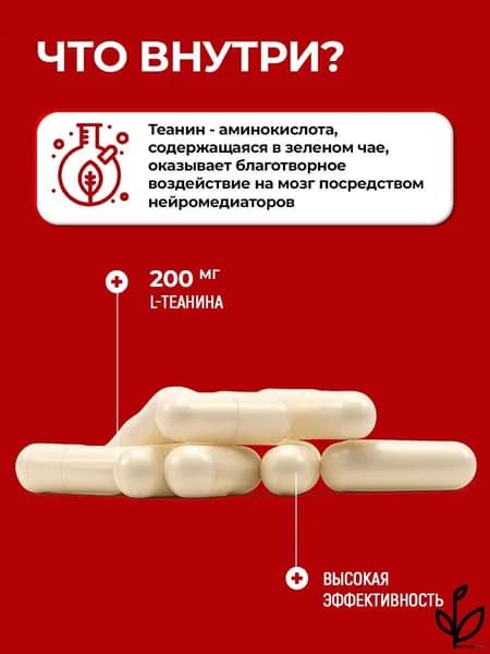 Бад, л теанин, для мозга, для нервной системы, для сна, L Theanine 200 mg, 60 капсул