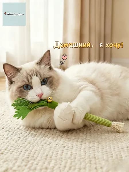 Игрушка-дразнилка для кошек с палочками мататаби Точение когтей и чистка зубов