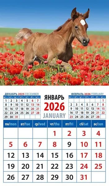 Календарь 2026 г., Магнитный