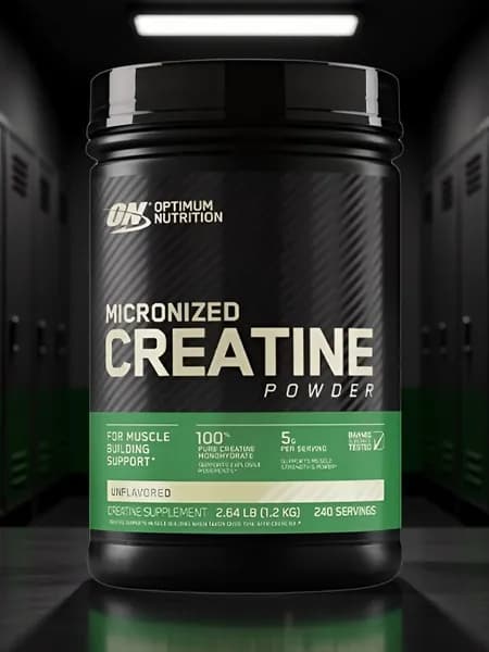 Креатин моногидрат Optimum Nutrition Micronized Creatine monohydrate powder 1200 гр, 240 порций
