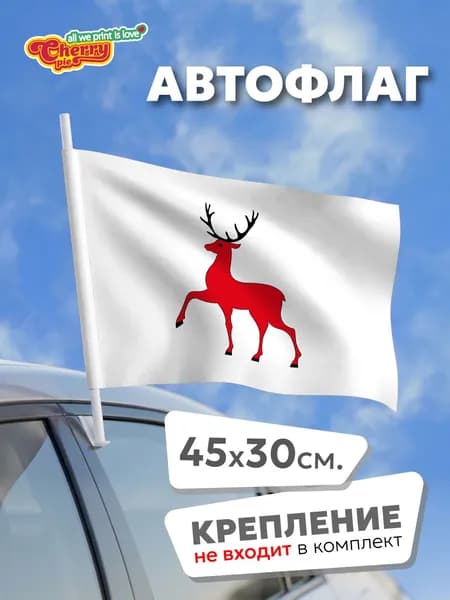 Флаг 45x30 Нижний Новгород (Нижегородская область) (2006 г.)