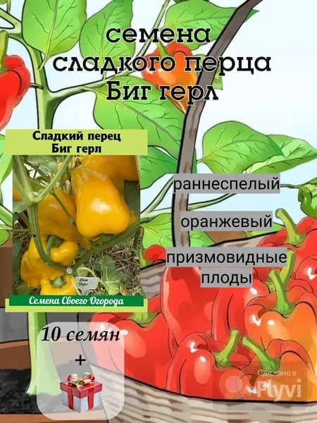 Семена сладкого перца Биг герл, раннеспелый, оранжевый, 10 семян