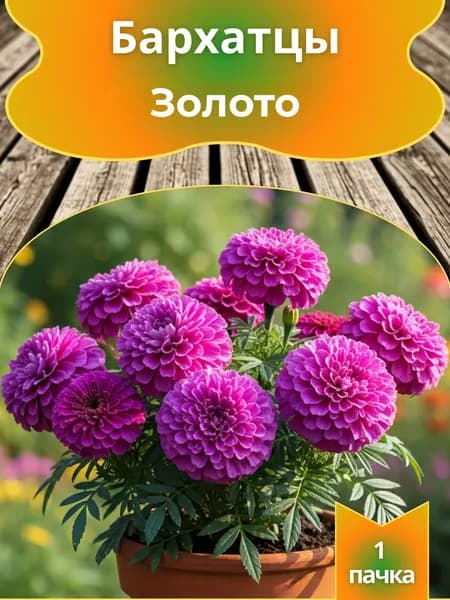 Бархатцы Золото, семена 10 шт.