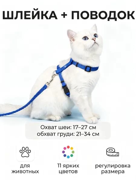 Шлейка с поводком для кошек, котят, собак мелких пород и кроликов, регулируемая, прогулочная, цветная