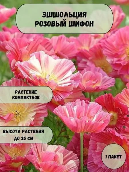 Эшшольция Розовый шифон семена 10 шт