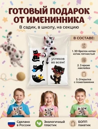 готовые подарки от именинника в садик и школу "котик " несладкие угощения