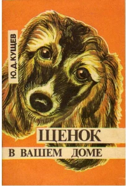 Щенок в вашем доме