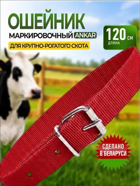 Ошейник для КРС плотный красный на ременной пряжке