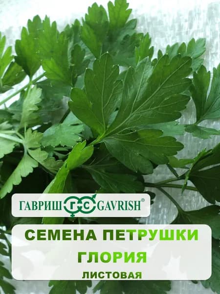 Семена Петрушки листовая "Глория" 2 гр.