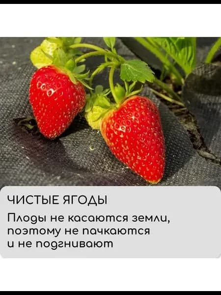 Черный материал мульчирующий, 10×1,6 м