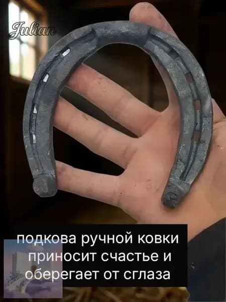 подкова(счастье приносящая )