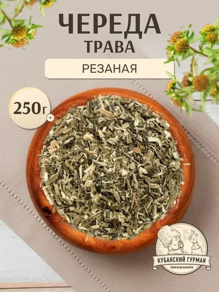 Череда для купания трава