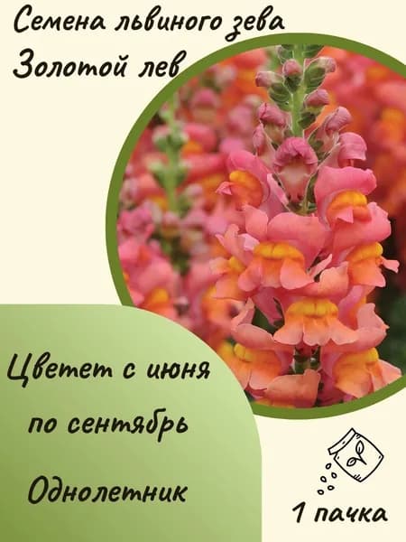 Львиный зев Золотой лев, 10 шт. семян