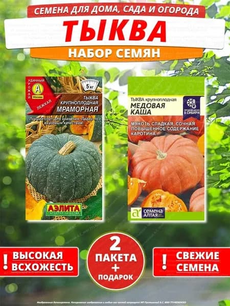 Семена тыква для дома сада посадки