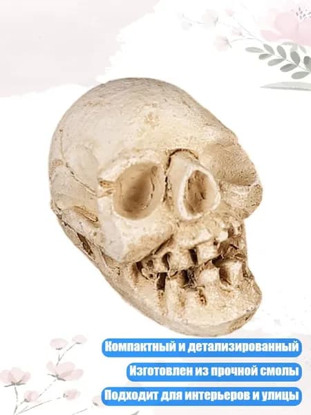 Компактная фигурка черепа, детализированное изделие из смолы для Хэллоуина и подарка, - A