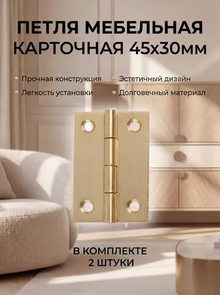 Петля карточная 45x30 мм 2 шт