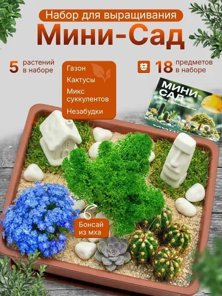 Набор для выращивания Мини садик с кактусом, суккулентами, н