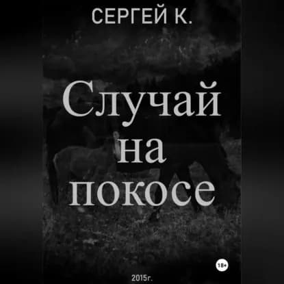 Случай на покосе | К. Сергей  | Электронная аудиокнига