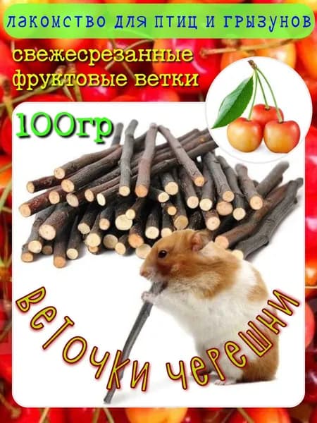Палочки для птиц и грызунов лакомство