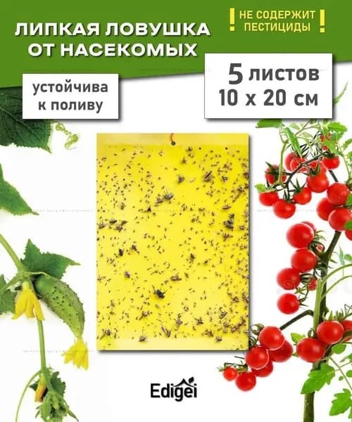 Ловушка для садовых вредителей