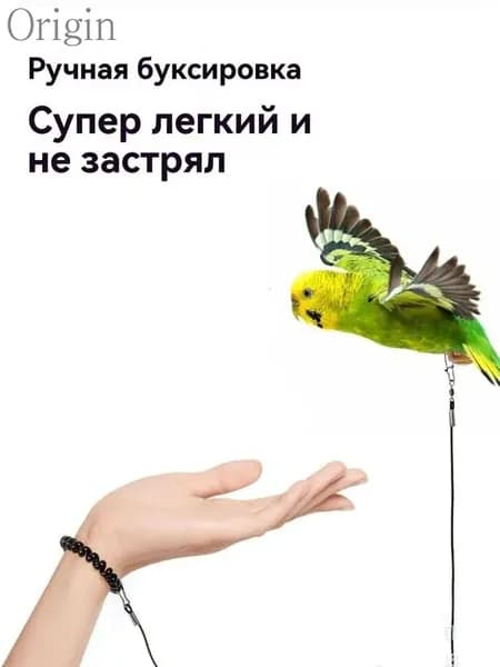 Шлейка для птиц, поводок для попугая, птичий ошейник