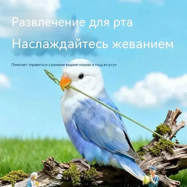 Набор сухой травы для попугаев, 50 штук, пробная натуральная игрушка для грызения