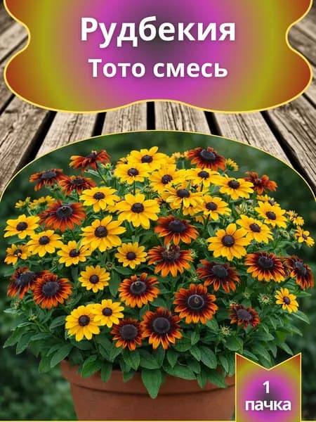 Рудбекия Тото смесь, семена 10 шт.