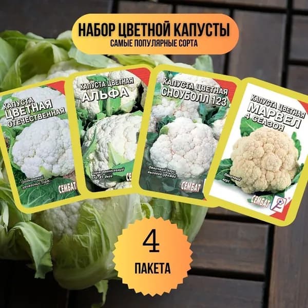 Набор Цветной капусты 4 сорта: Отечественная 0,3г. Альфа 0,3 г. Сноуболл 123 0,3г. Марвел 4 сеазонс 0,3г.